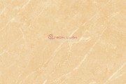 Gạch ốp lát  APODIO 88262001